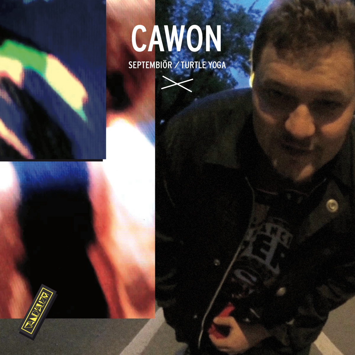 vand digital 003 cawon picture