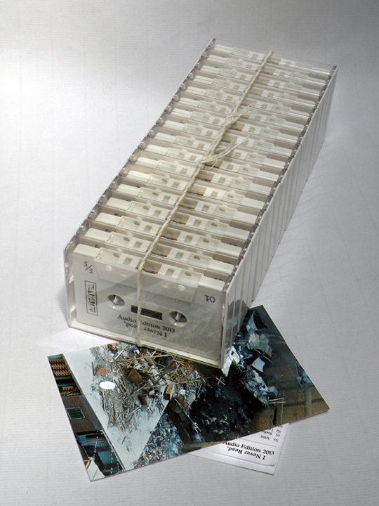 vandalizm i never read audio edition